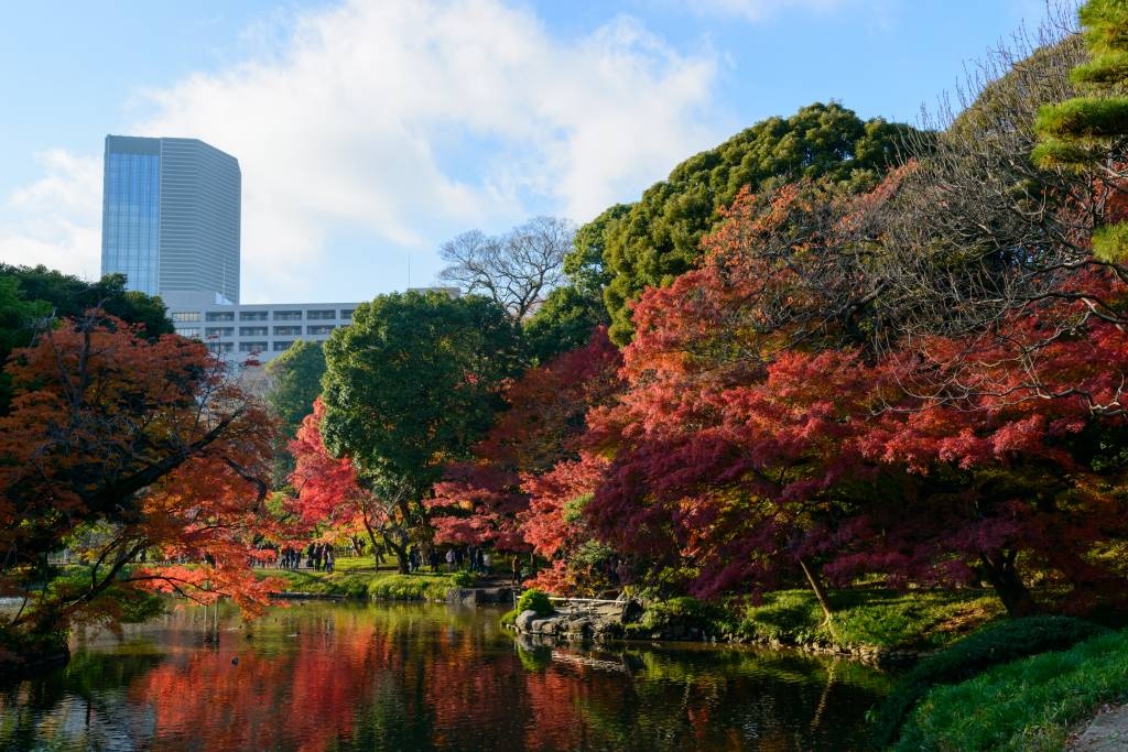 Amazing Gardens of the World anh 6