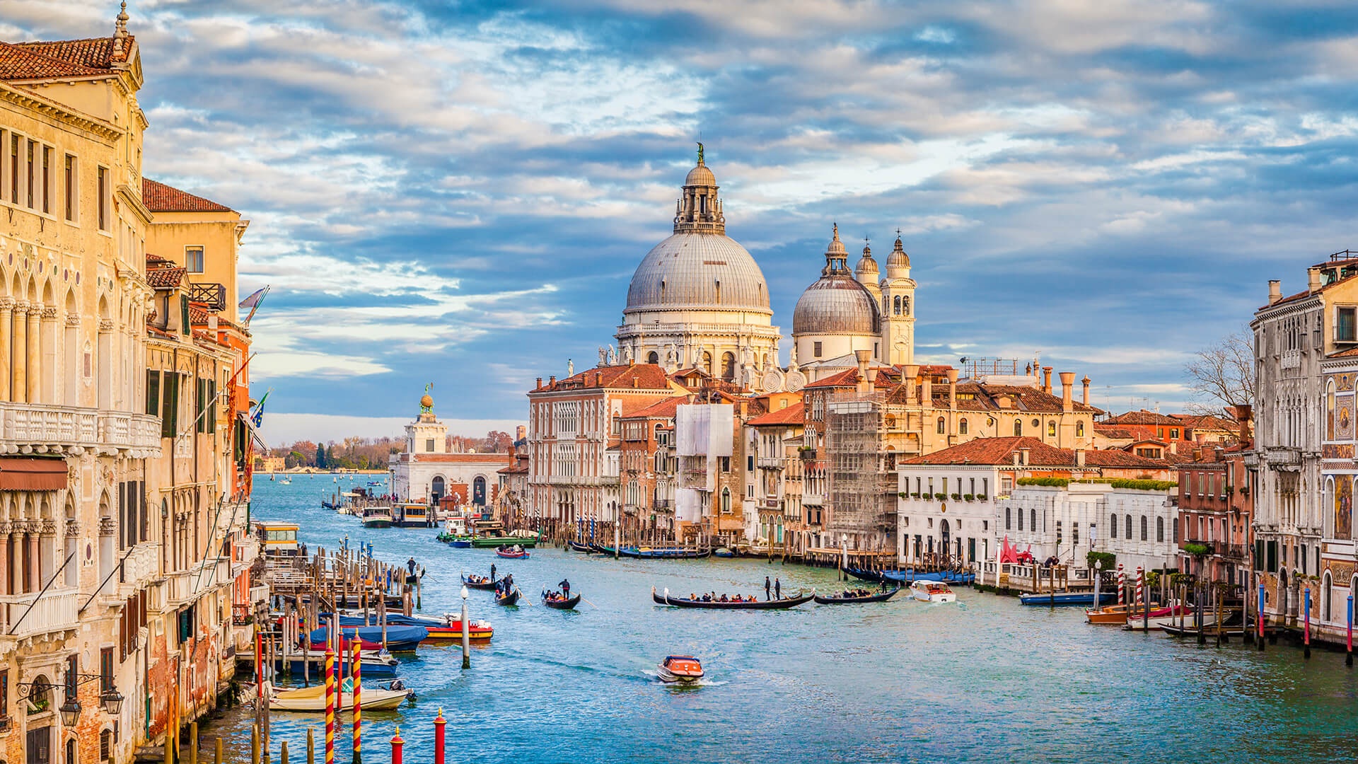 diem den cam oto noi tieng the gioi anh 5