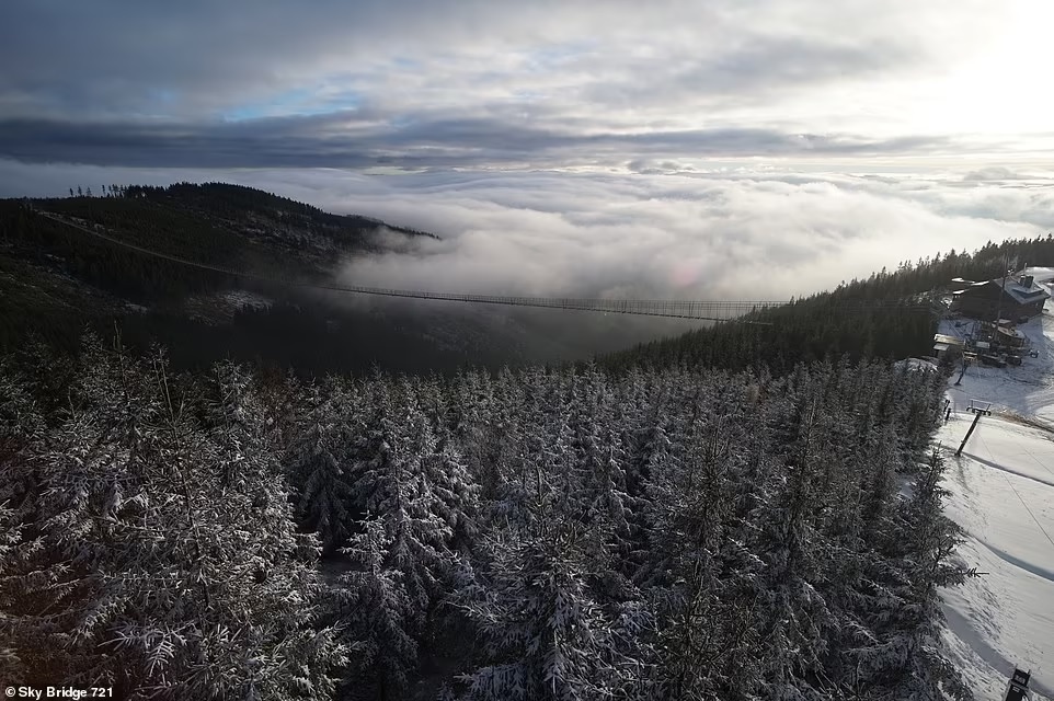 Sky Bridge 721 anh 8