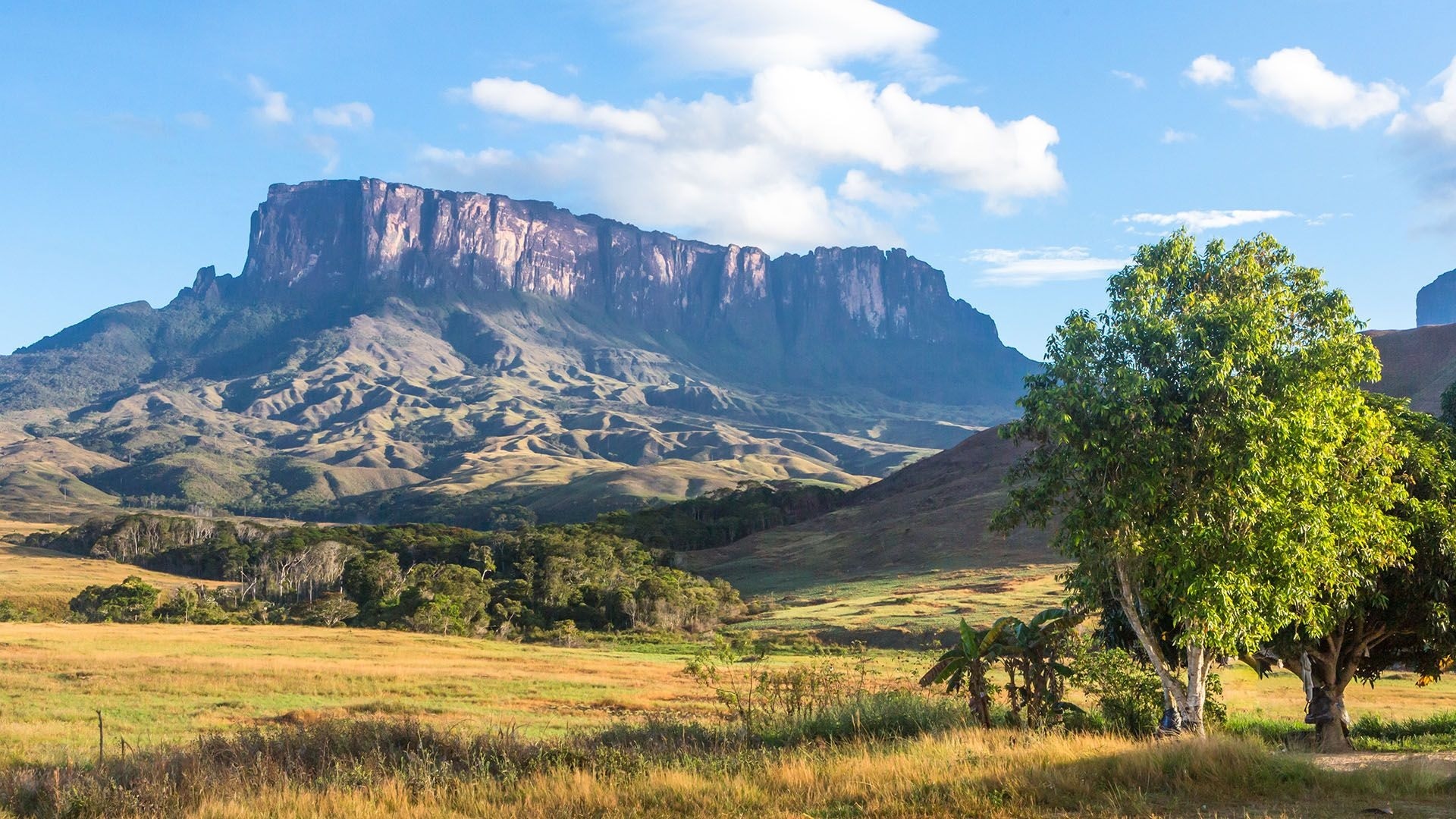 Núi Roraima  ảnh 1 Nui Roraima anh 1