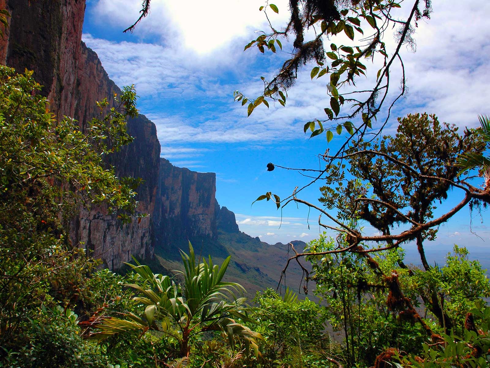 Núi Roraima  ảnh 6 Nui Roraima anh 6