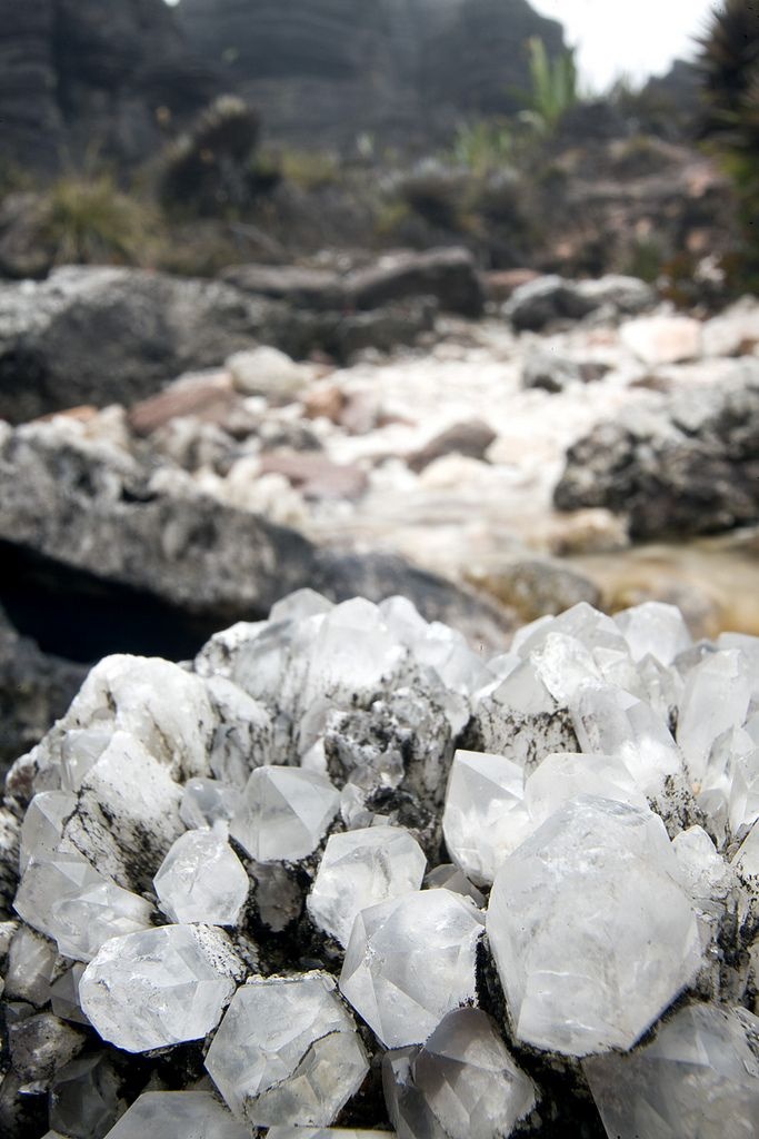 Núi Roraima  ảnh 11 Nui Roraima anh 11