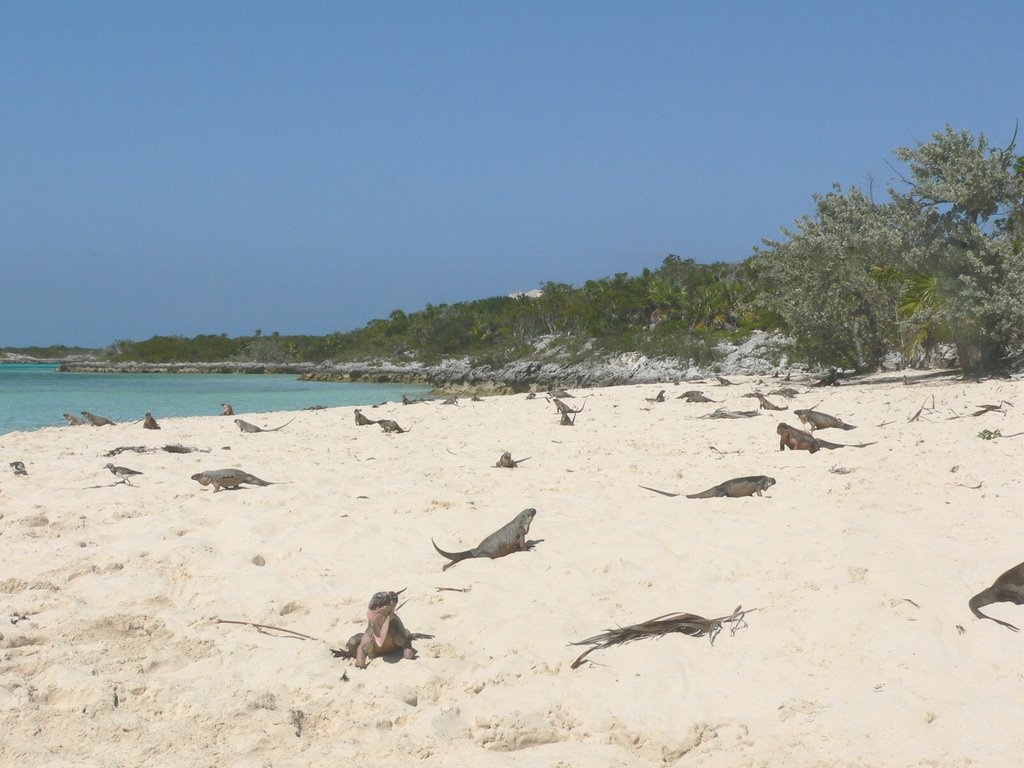 Bahamas ảnh 4 Bahamas anh 4