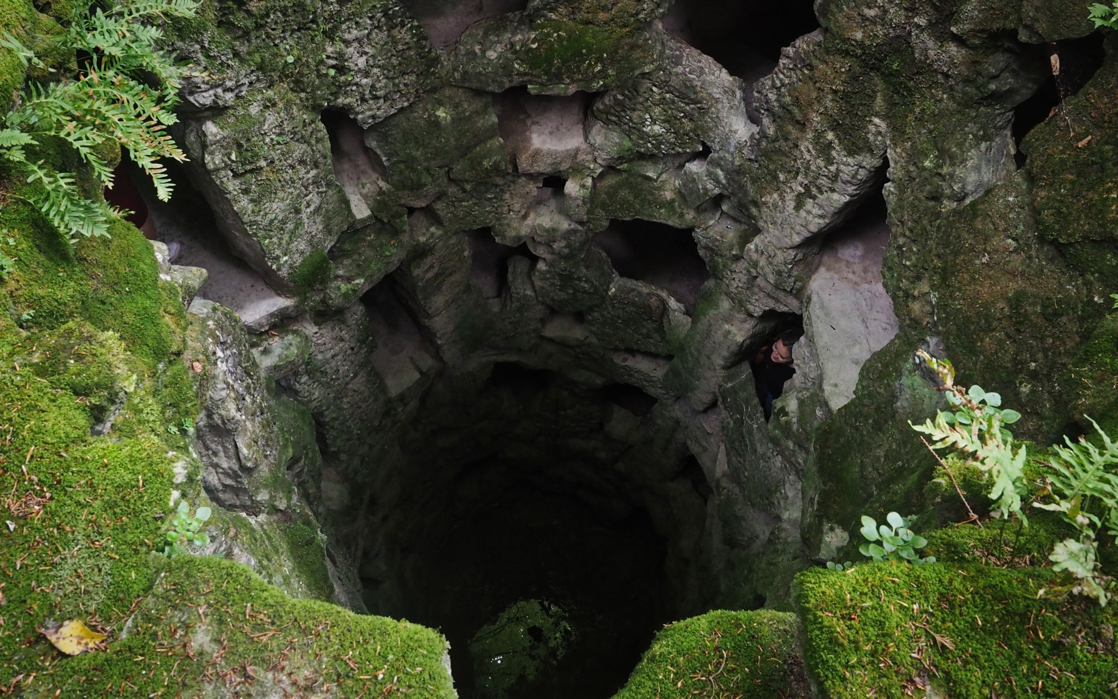 Lâu đài Quinta da Regaleira ảnh 7 Lau dai Quinta da Regaleira anh 7