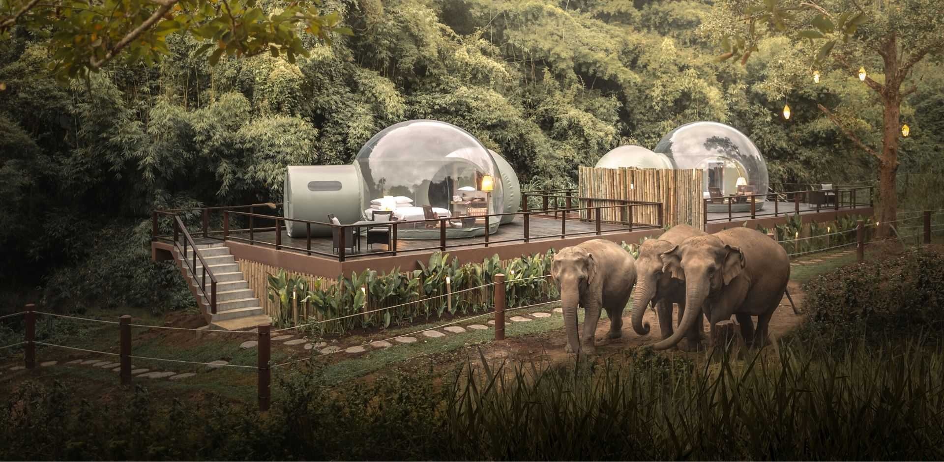 Khách sạn Thái Lan ảnh 6 Khach san Thai Lan anh 6
