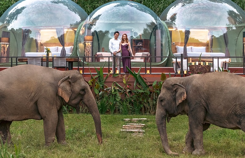 8 khach san dep nhat Thai Lan hinh anh