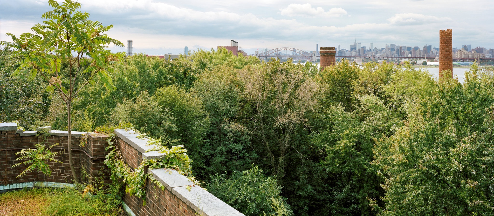 Dao hoang o New York anh 9