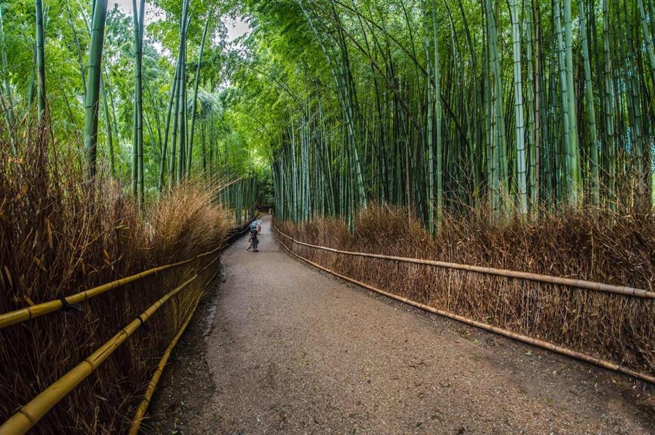 trải nghiệm chỉ có ở Nhật Bản ảnh 1 trai nghiem chi co o Nhat Ban anh 1