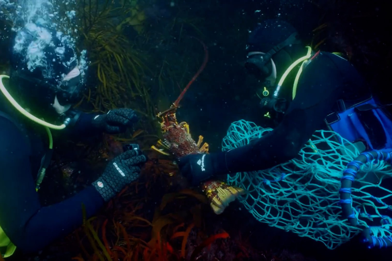 Gordon Ramsay lan bien san tom hum hinh anh