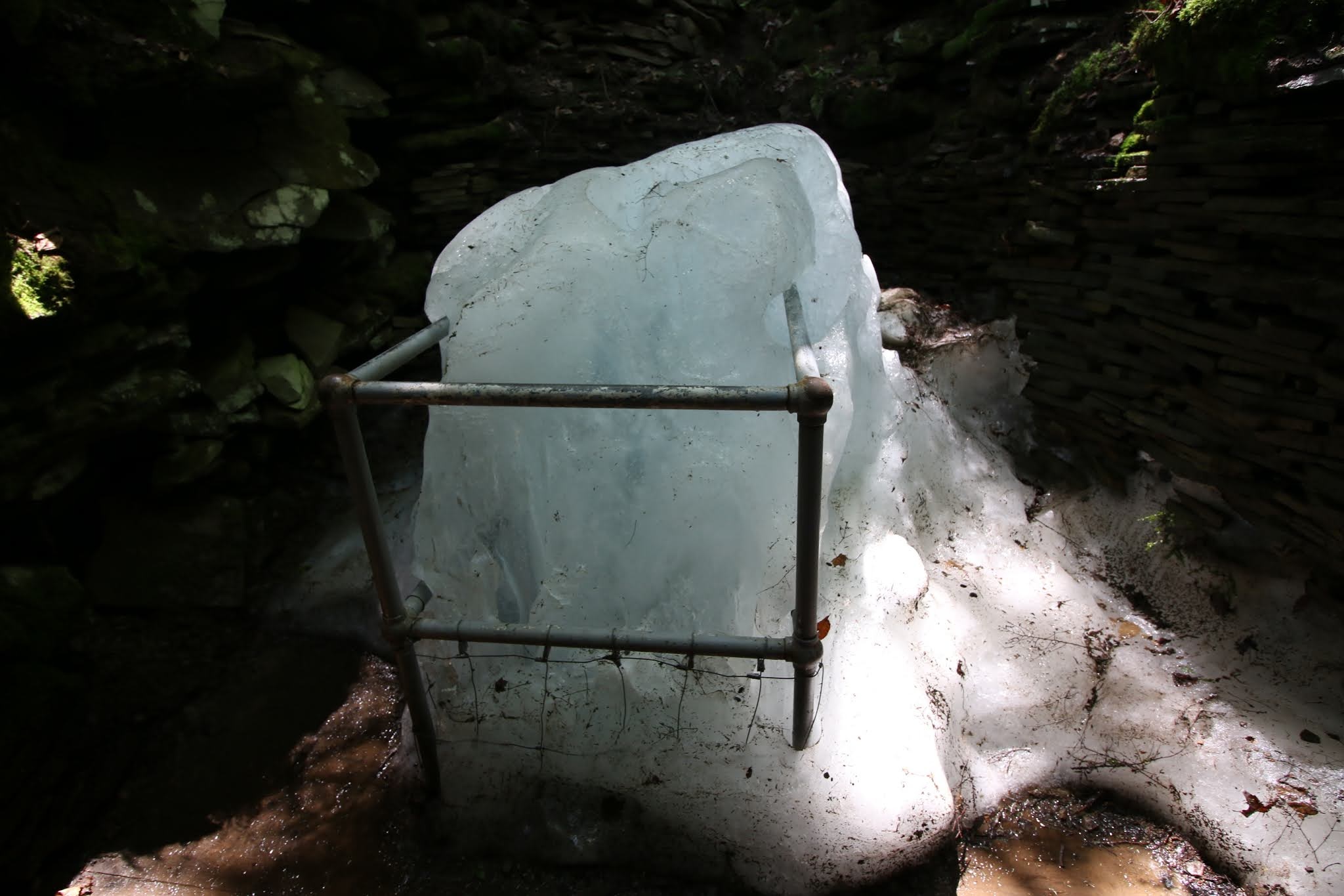 Hang la day bang ngay he, trong rong vao mua dong hinh anh