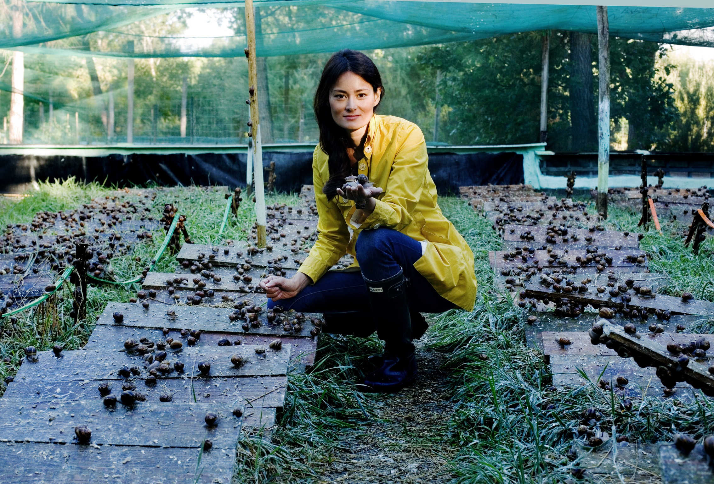 Oc sen an duoc anh 2