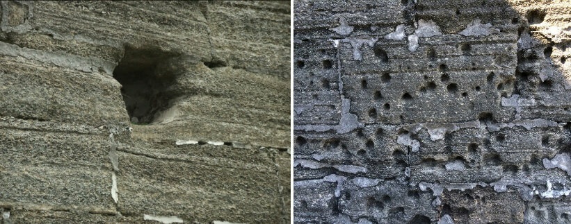 Phao dai nuot dan dai bac anh 3