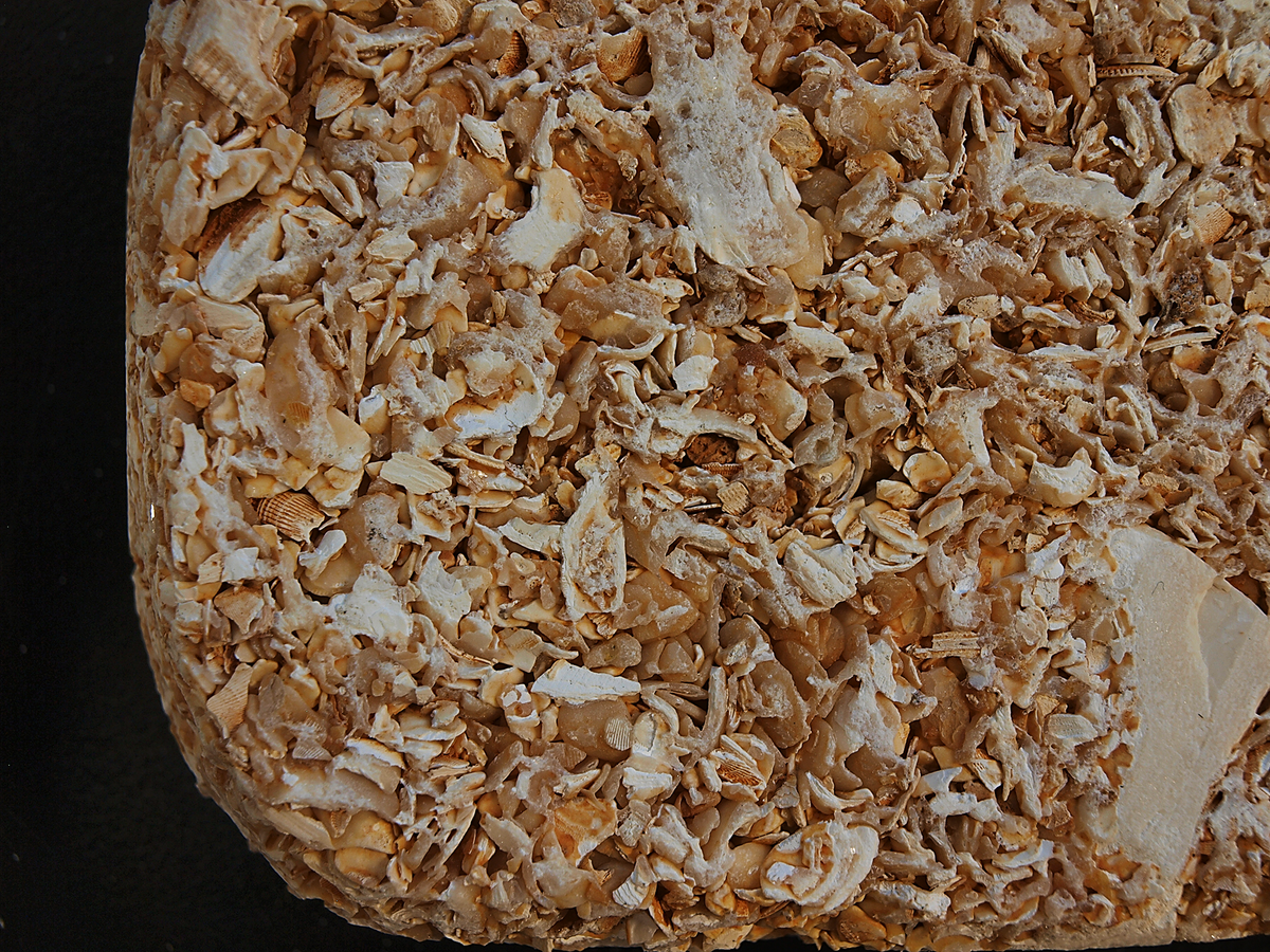 Phao dai nuot dan dai bac anh 8