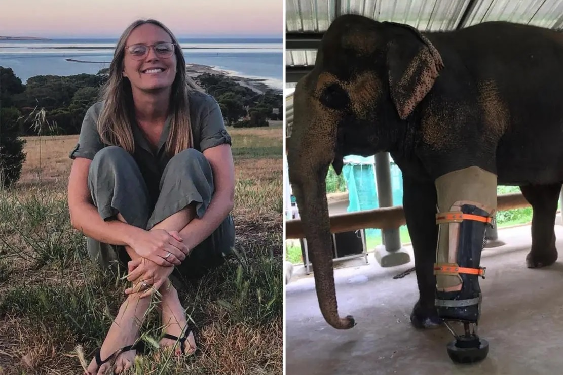 Co gai di khap the gioi cuu chua cho dong vat hoang da hinh anh