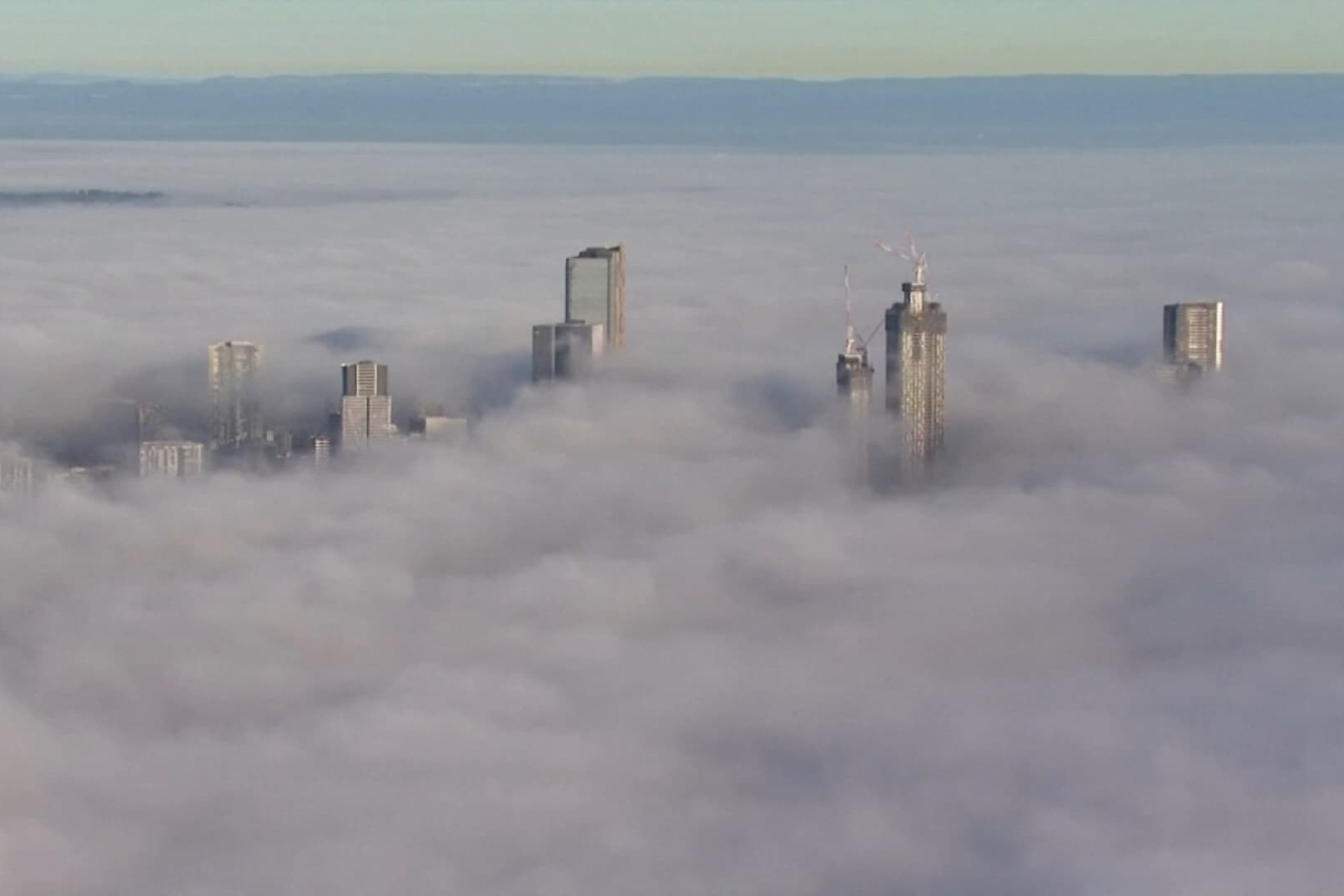 Hang tram chuyen bay bi hoan do suong mu day dac o Sydney hinh anh