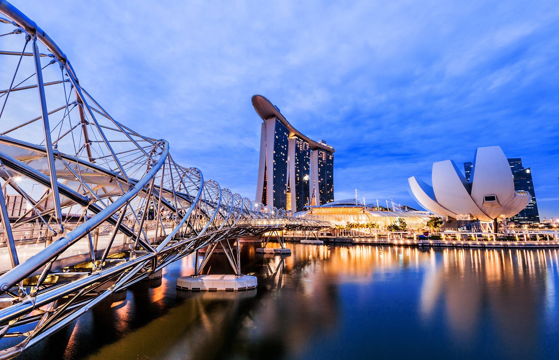 Nhung cay cau duoc trang tri cong phu anh 8