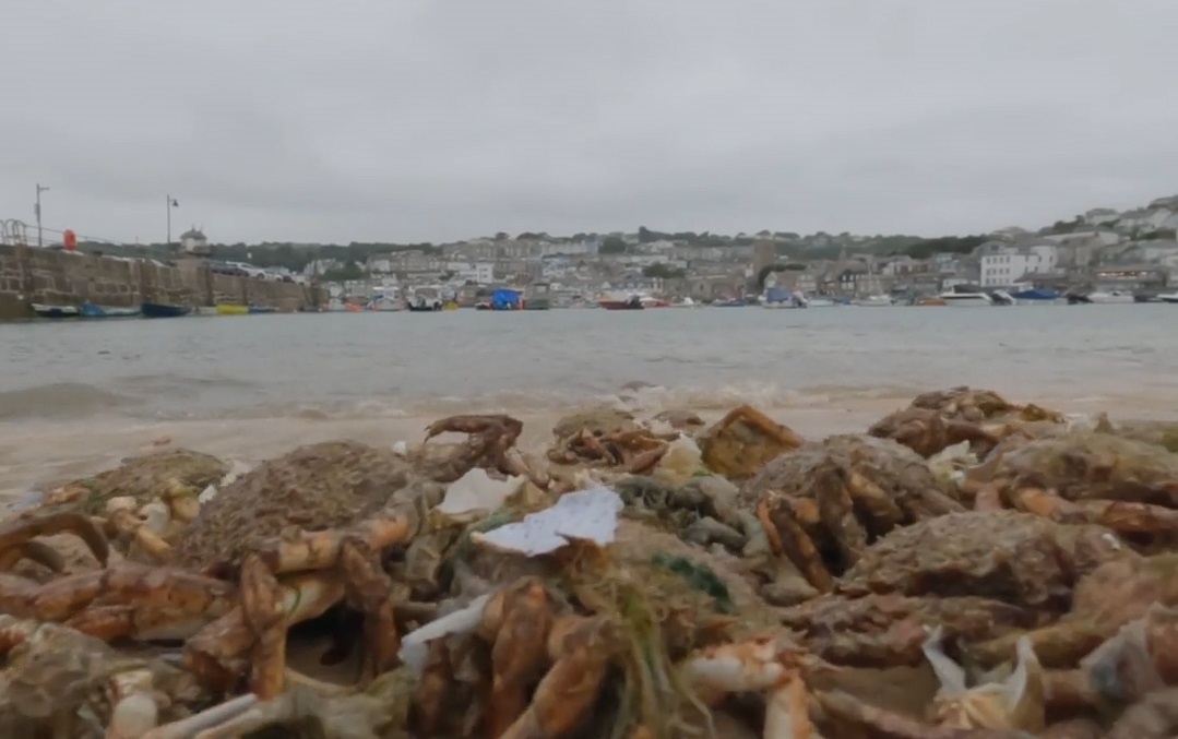 Bai bien o Anh lap day xac cua hinh anh