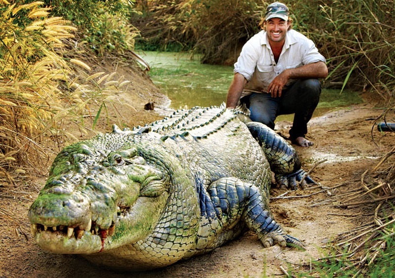 Nguoi co the 'noi chuyen' voi ca sau o Australia hinh anh