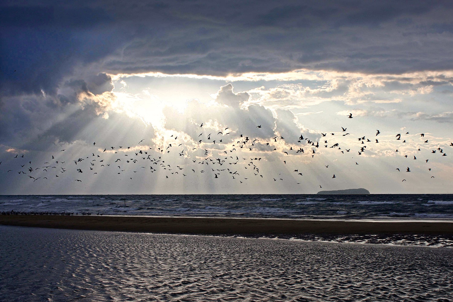 Bãi biển Chichibugahama ảnh 2 Bai bien Chichibugahama anh 2