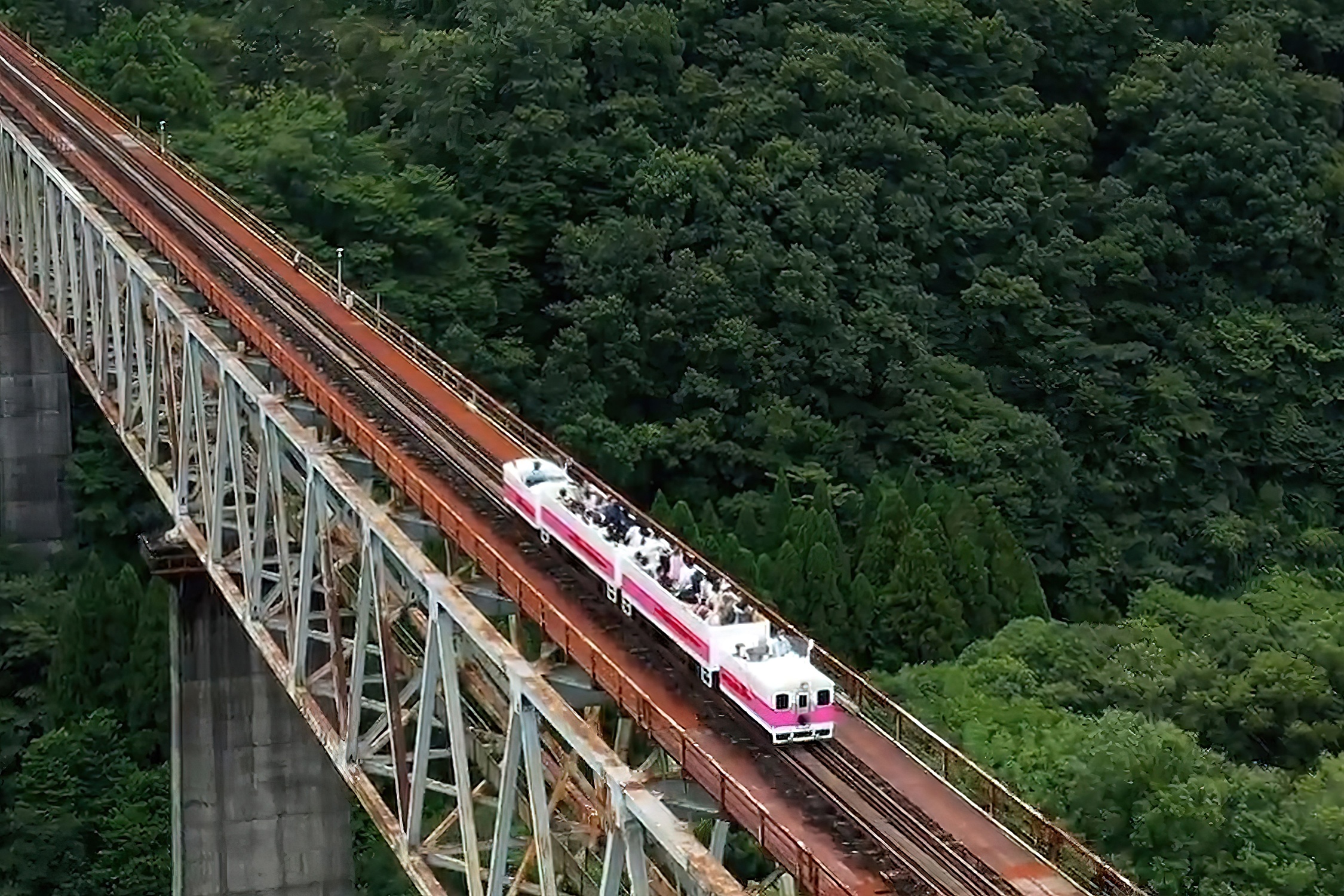 Tau Nhat chay bang dau an thua hinh anh