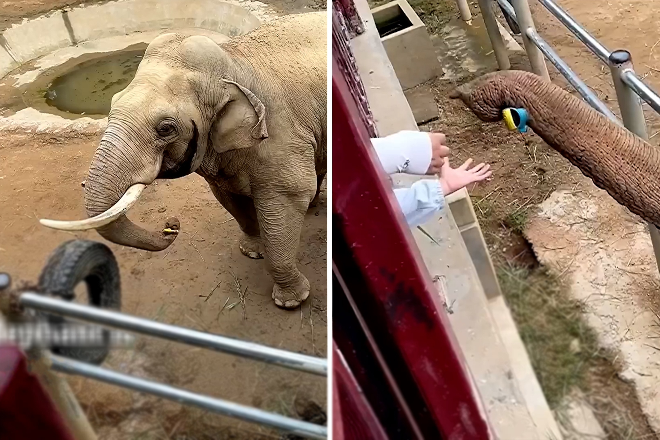 Voi dung voi nhat giay cho du khach nhi hinh anh