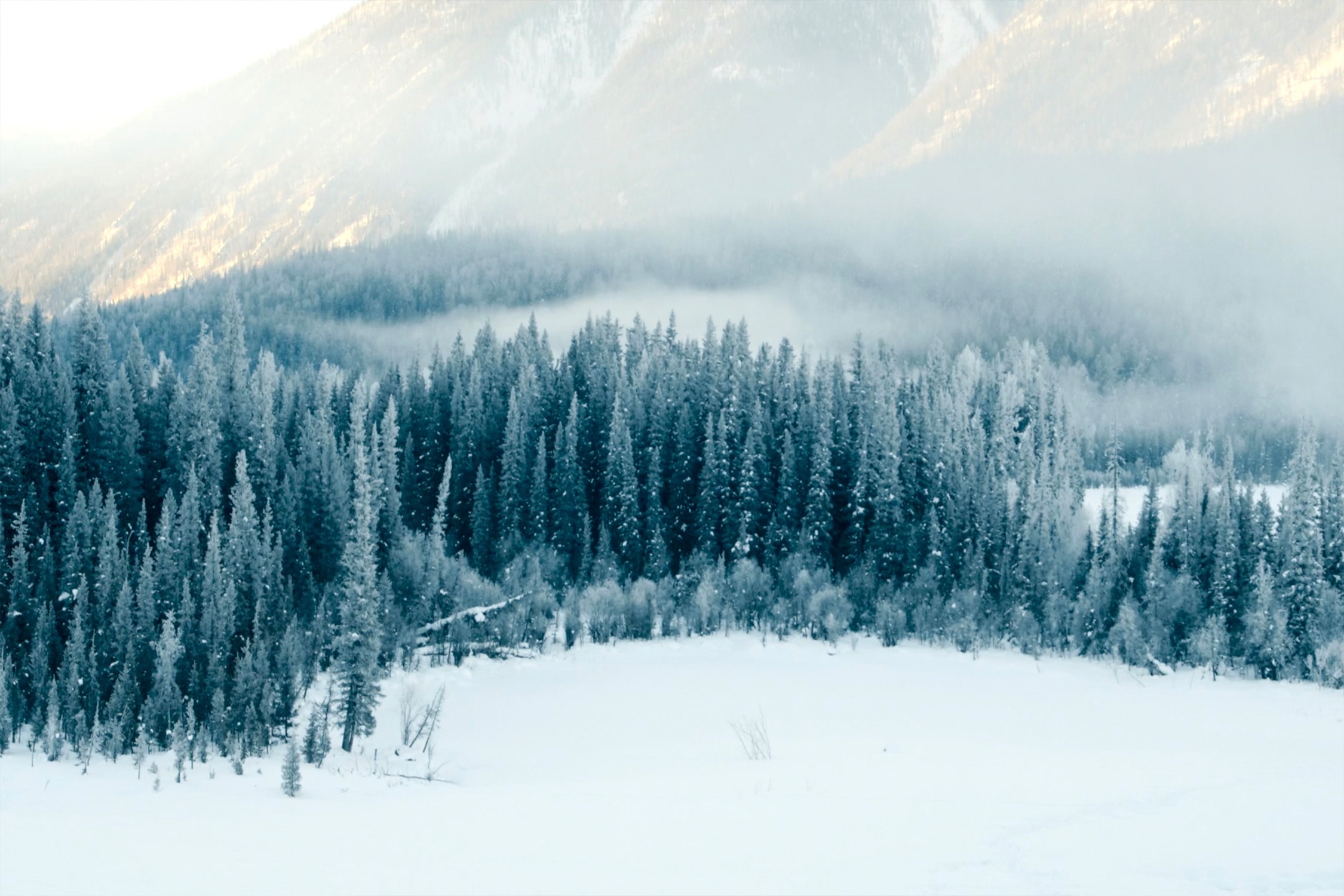 Tuyet roi giua mua he o Trung Quoc hinh anh