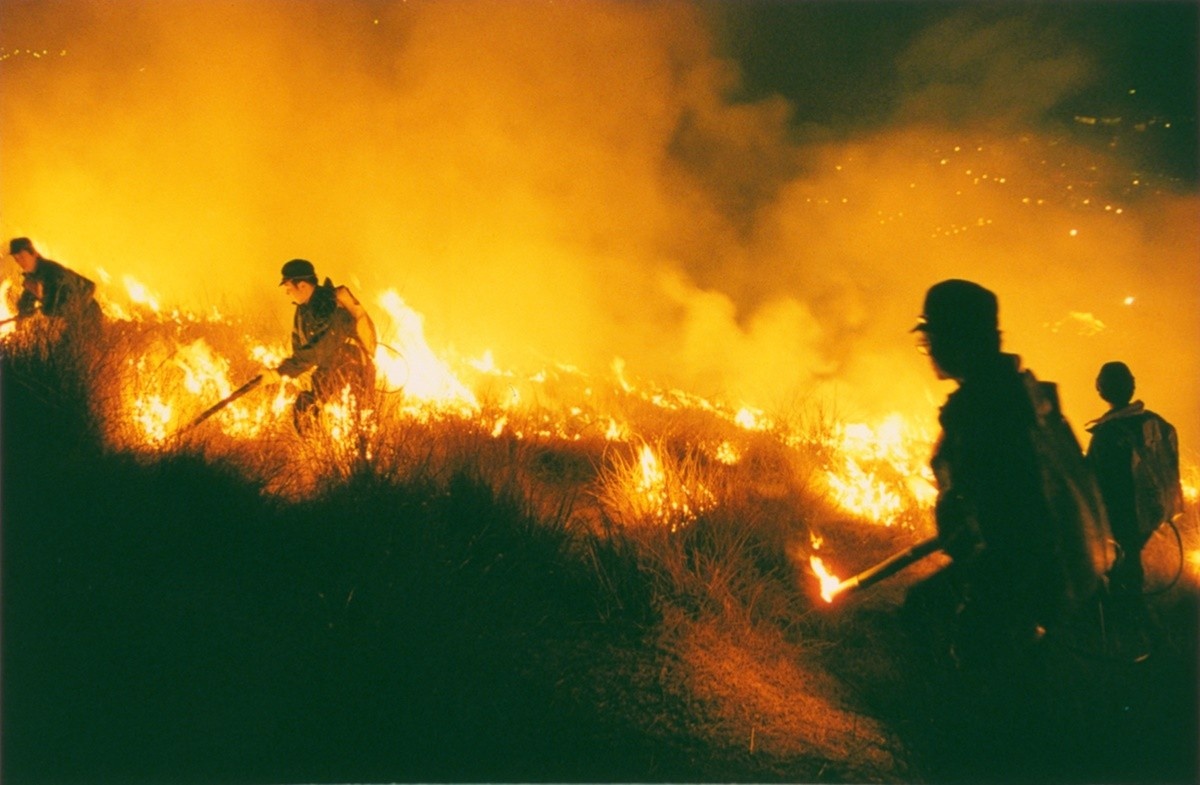 Lễ hội đốt núi  ảnh 8 Le hoi dot nui anh 8