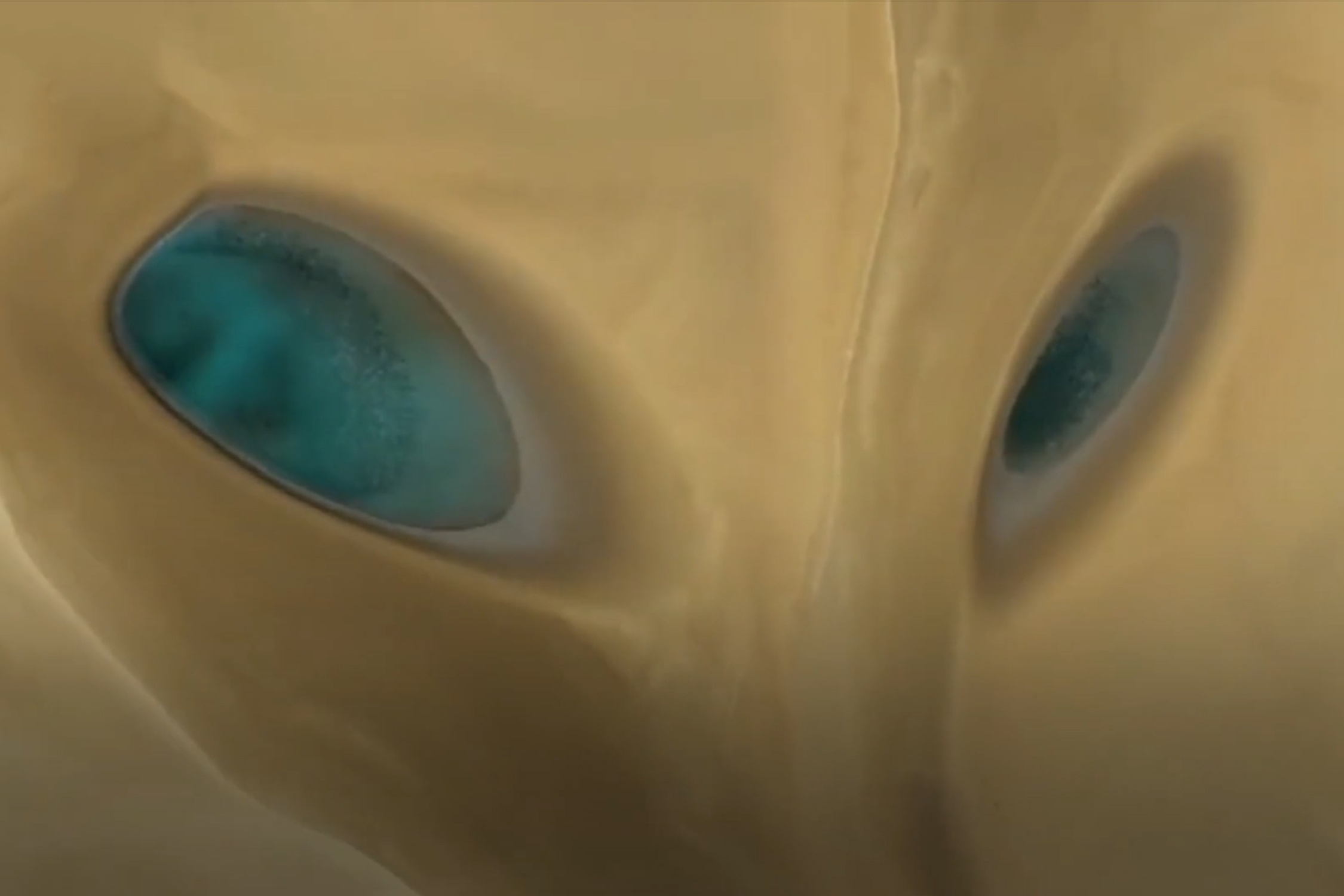 'Doi mat' tren sa mac o Trung Quoc hinh anh