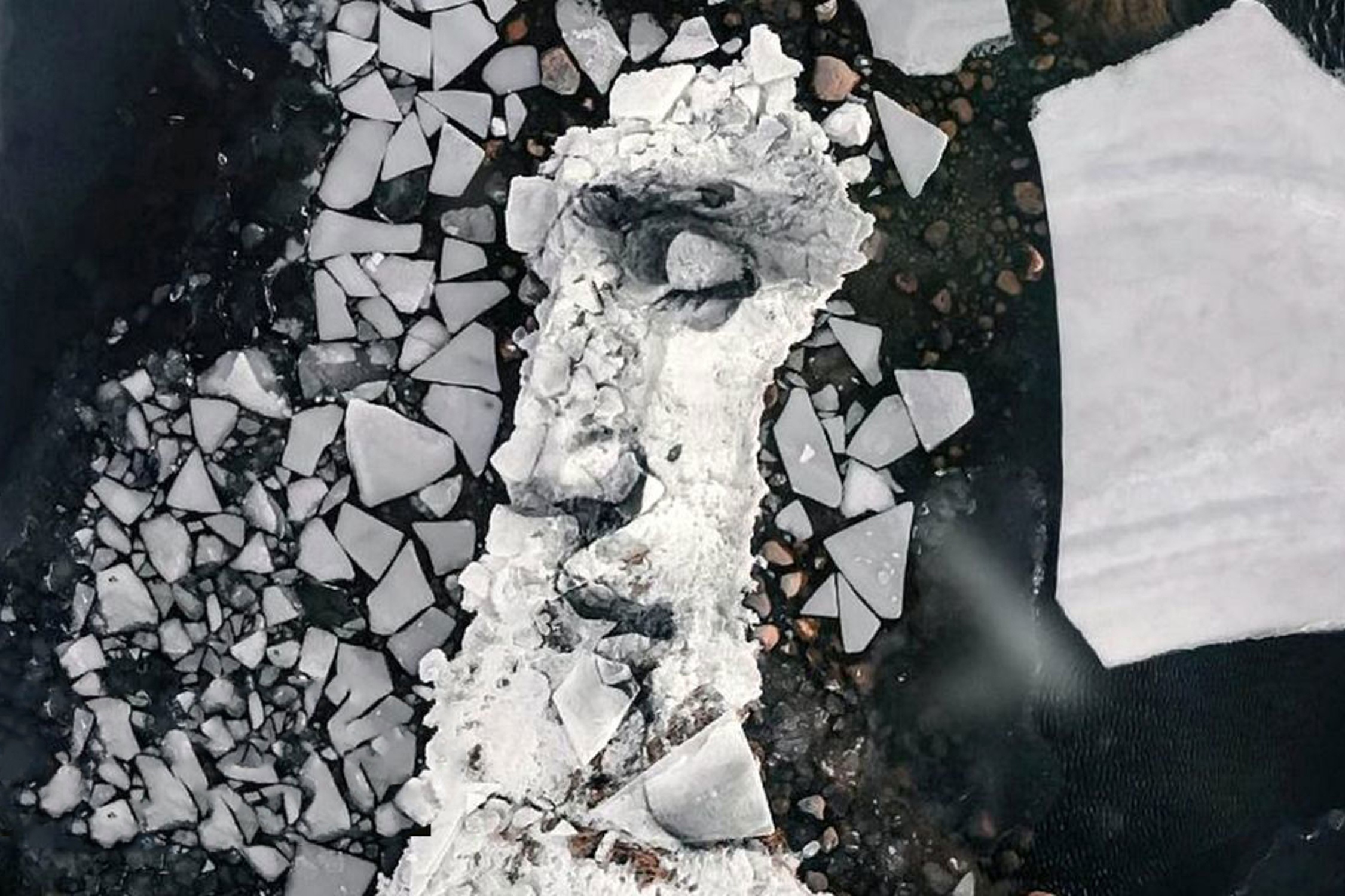 Tranh chan dung khong lo tren tang bang noi hinh anh