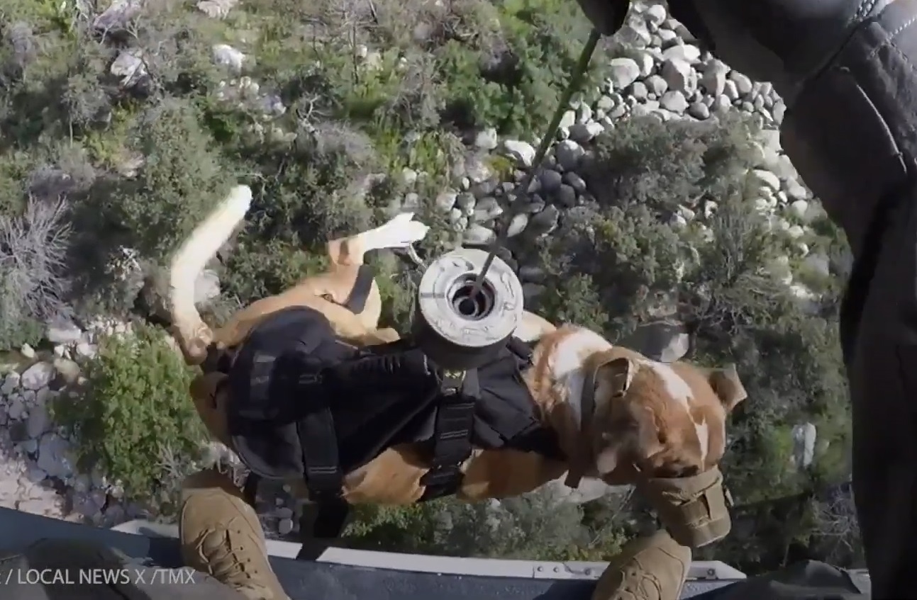 Truc thang giai cuu nguoi di bo va cho cung kiet suc hinh anh