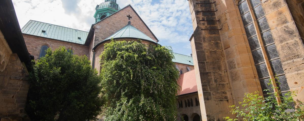 Bui hong co nhat anh 3