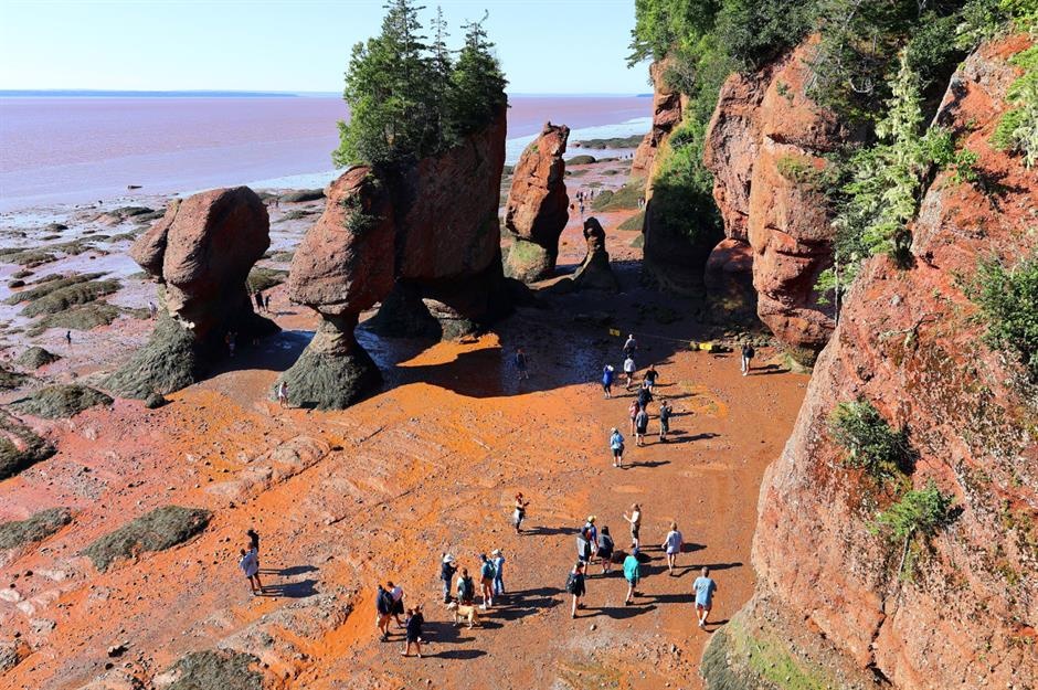 Thien nhien o Canada anh 9