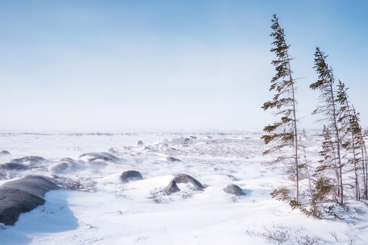 Thien nhien o Canada anh 7