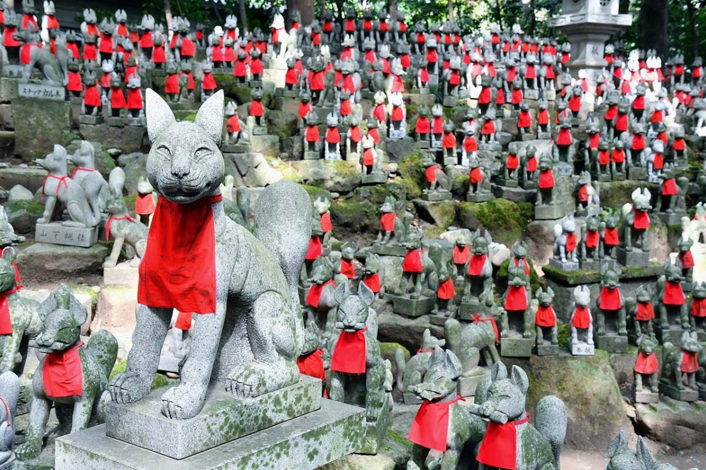 Ngon doi cao da linh thieng o Nhat Ban hinh anh