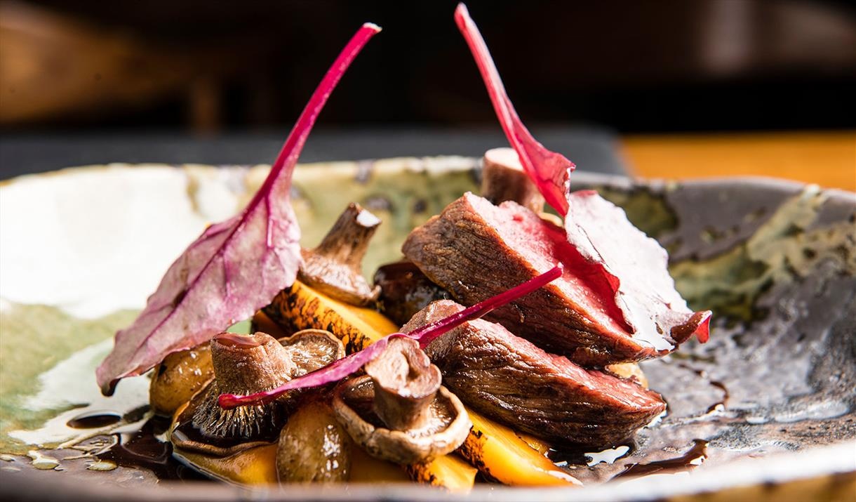 Best of the Best ảnh 1 Best of the Best anh 1