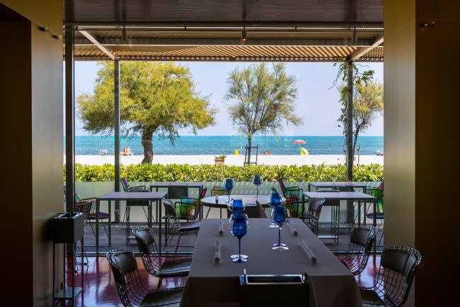 Best of the Best ảnh 3 Best of the Best anh 3