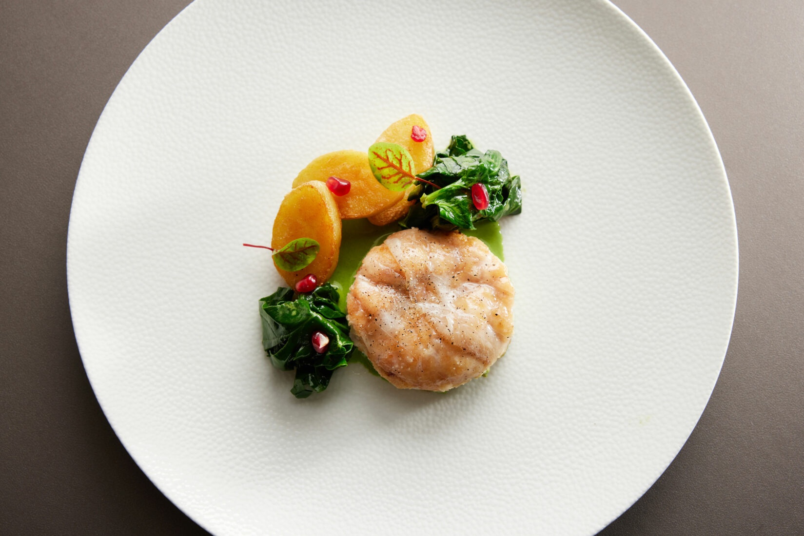 Best of the Best ảnh 10 Best of the Best anh 10