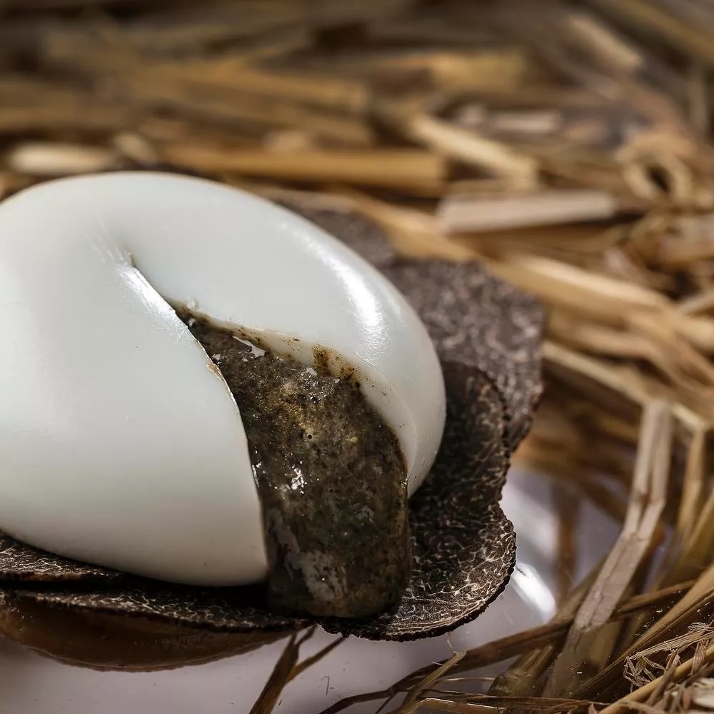 Best of the Best ảnh 12 Best of the Best anh 12