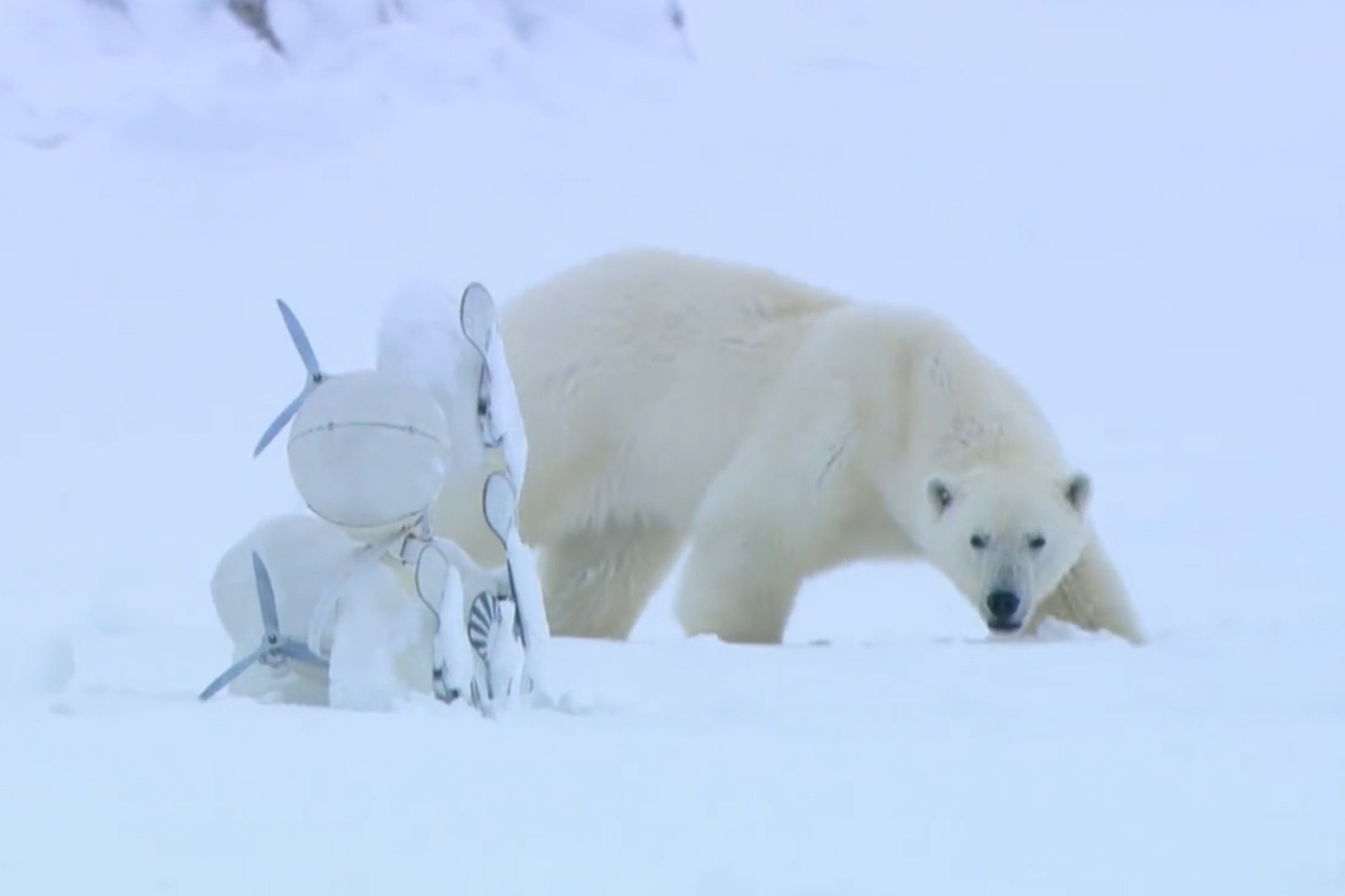 Gau Bac Cuc cuu chiec camera giau kin bi lat hinh anh