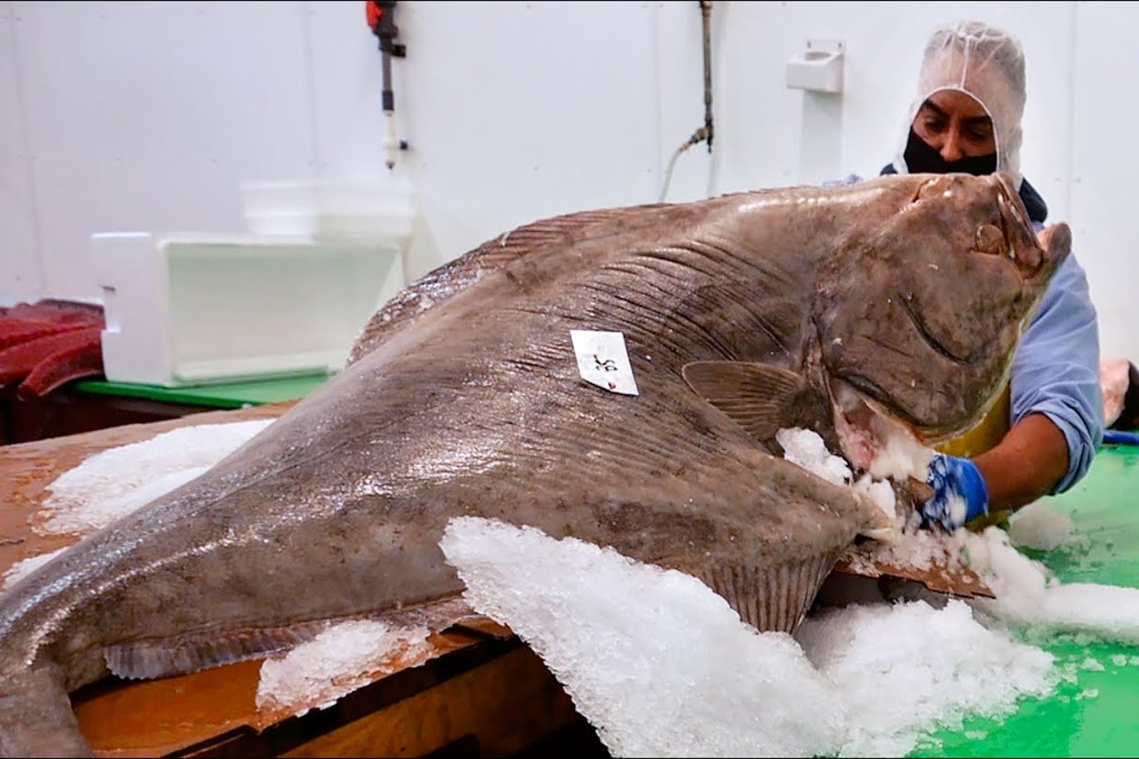 Dau bep xe thit ca bon khong lo hinh anh