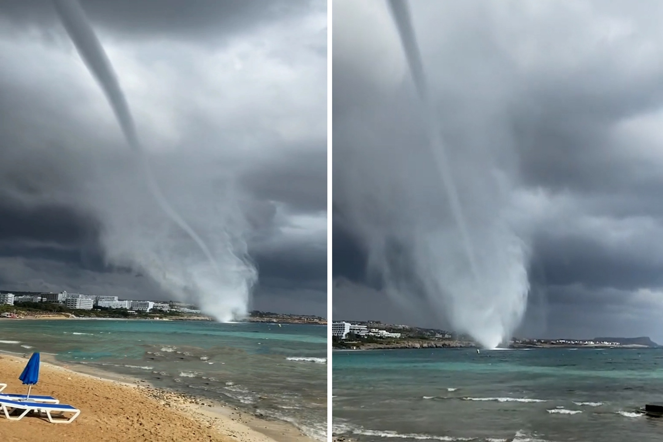 Voi rong xuat hien o dao Sip hinh anh