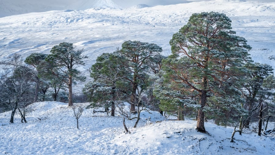 Natural Landscape Photography Award anh 8