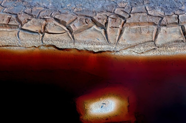 Loat anh ghi lai nhung khung canh ngoan muc cua tu nhien hinh anh