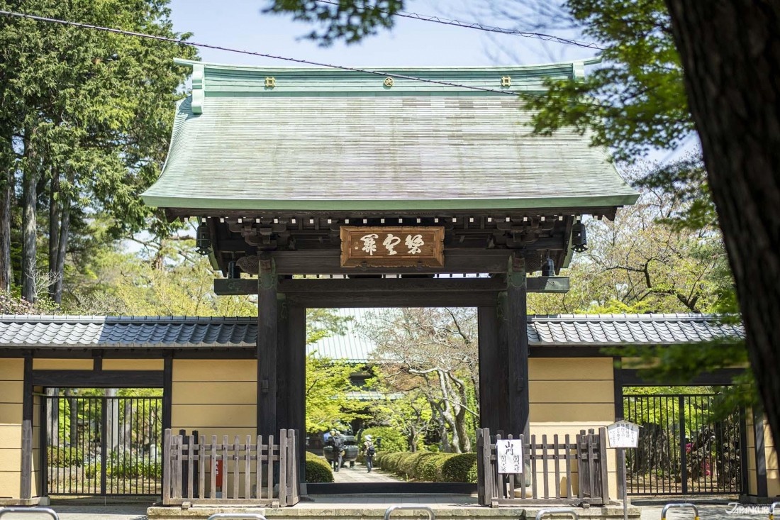 den meo o Nhat Ban anh 2