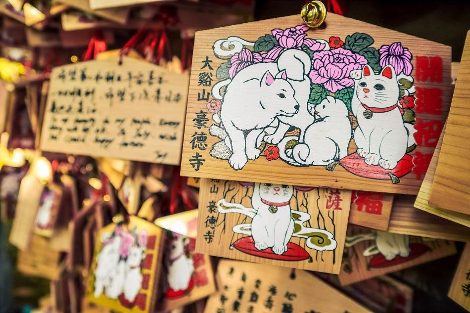 den meo o Nhat Ban anh 7