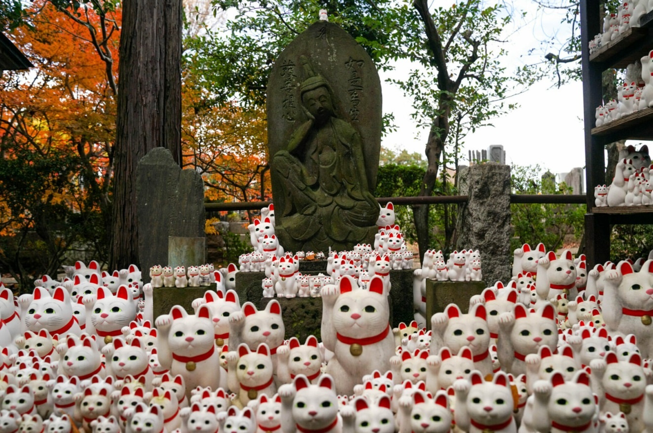 Ngoi den co hang nghin tuong meo vay tay o Nhat Ban hinh anh