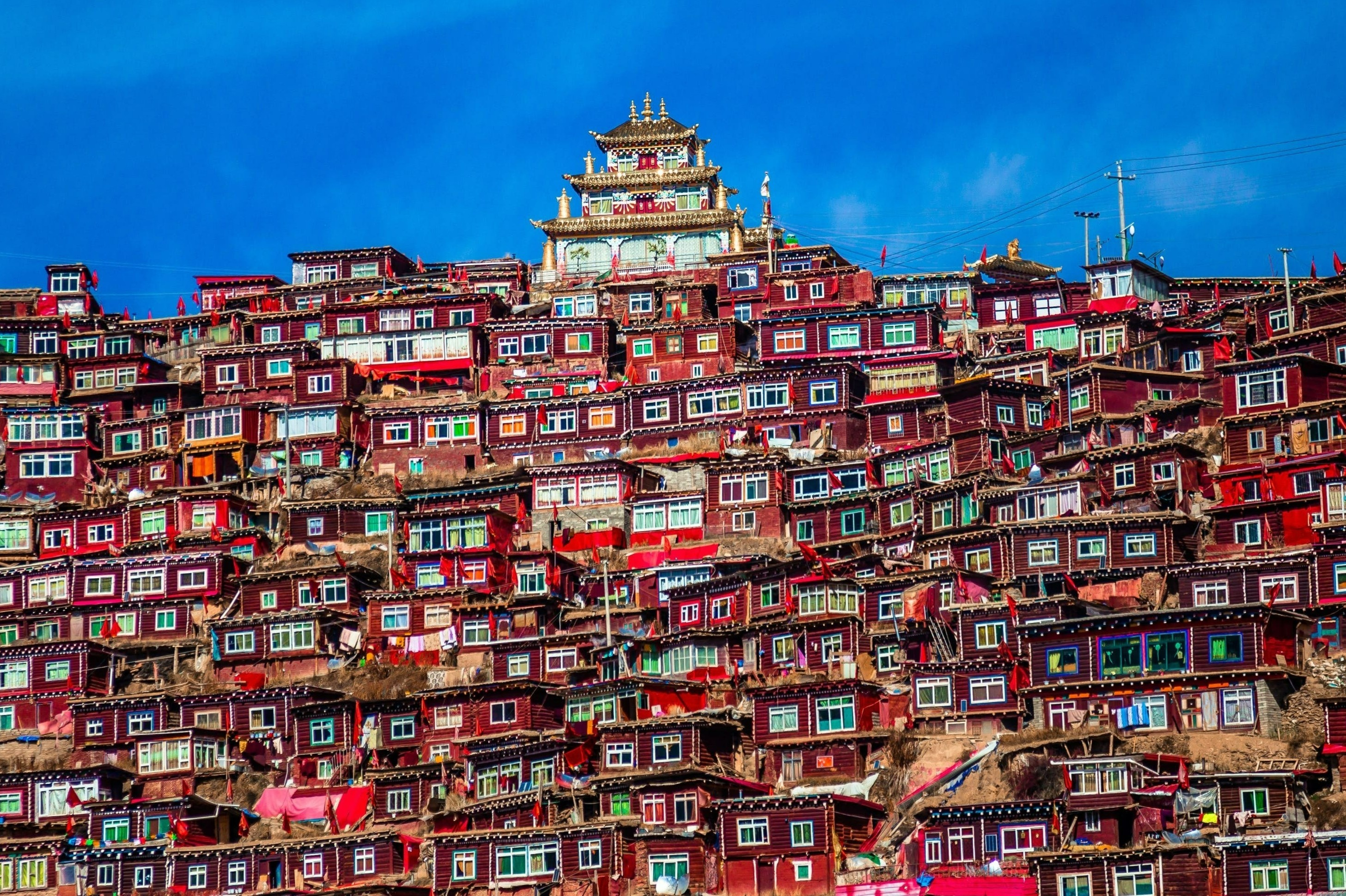 Hoc vien Phat giao lon nhat the gioi hinh anh