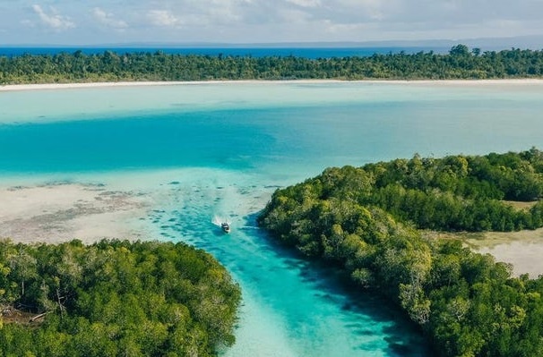 Loat dao o Indonesia duoc rao ban hinh anh