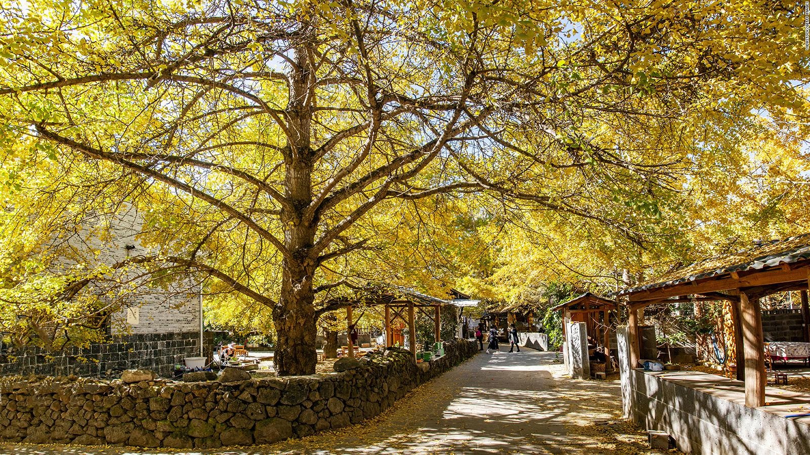 Đà Lạt ảnh 4 Da Lat anh 4