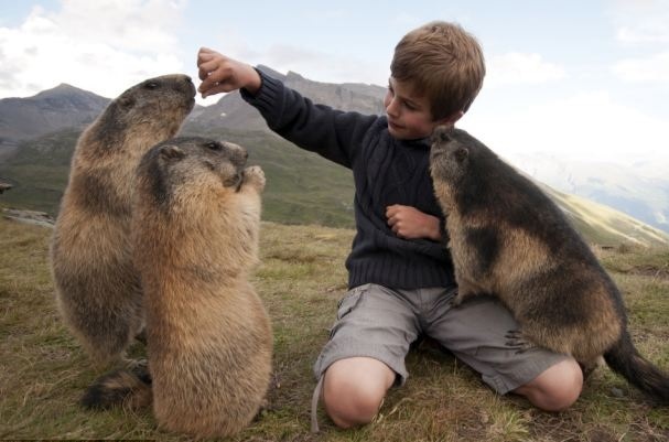 Loai soc dat khong lo la cao thu dao ham hinh anh